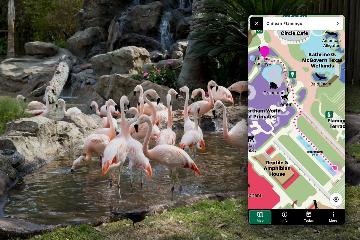 Screen of mobile application showing map with directions to flamingo exhibit.